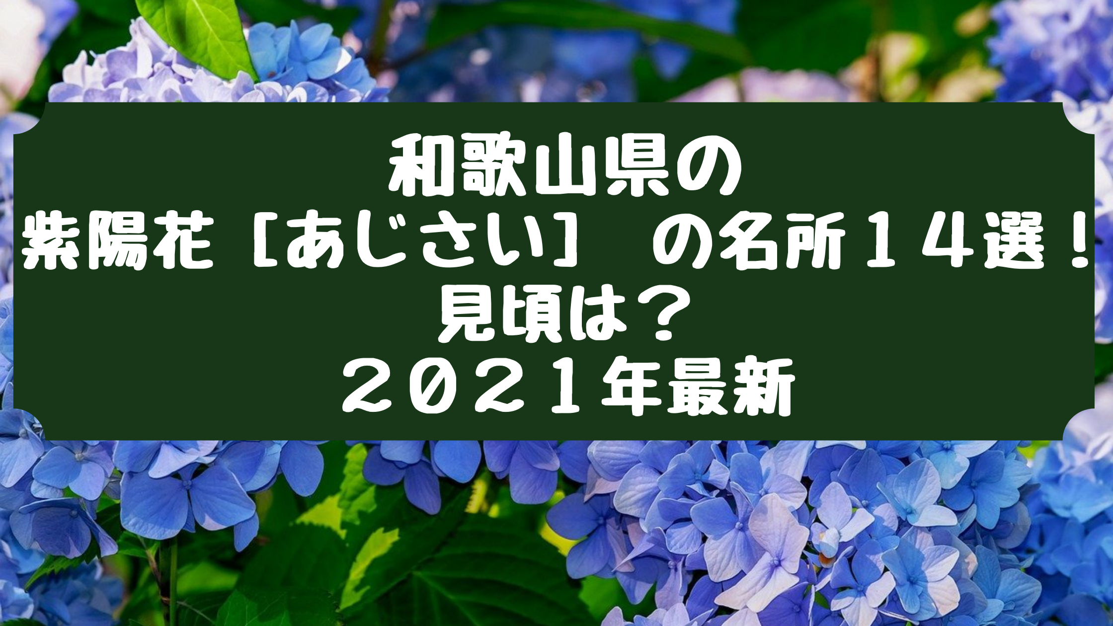 和歌山県の紫陽花 あじさい の名所１４選 見頃は ２０２１年最新 なちゃぶろぐ
